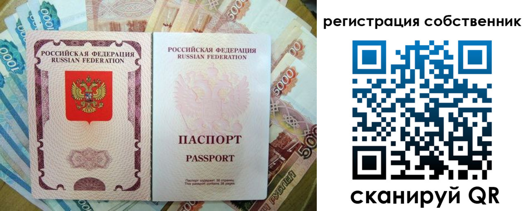 прописка гарантия в Дубовке